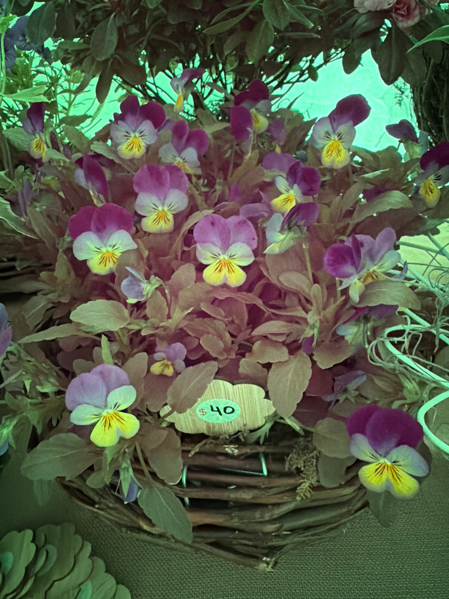 Viola Willow Basket