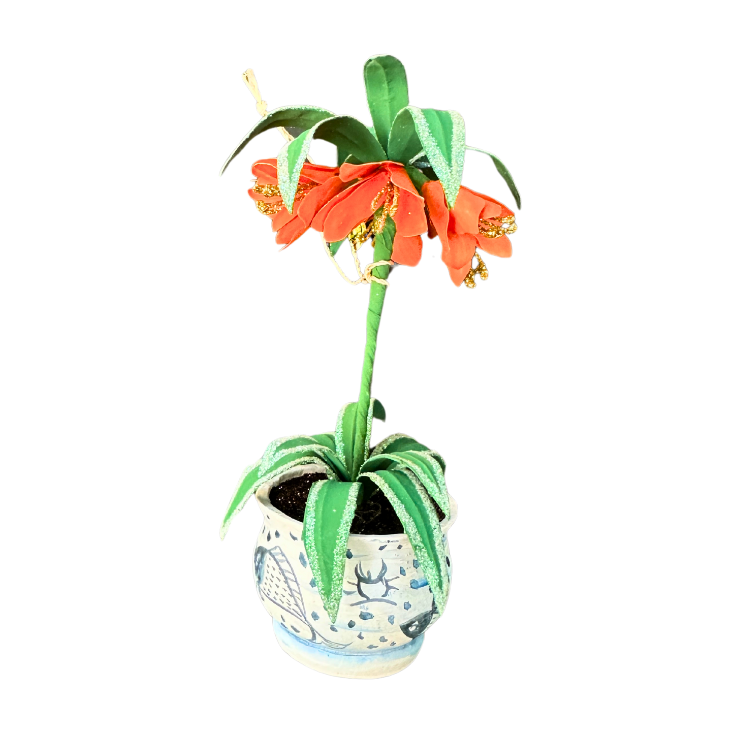 Clivia in Koi Pot