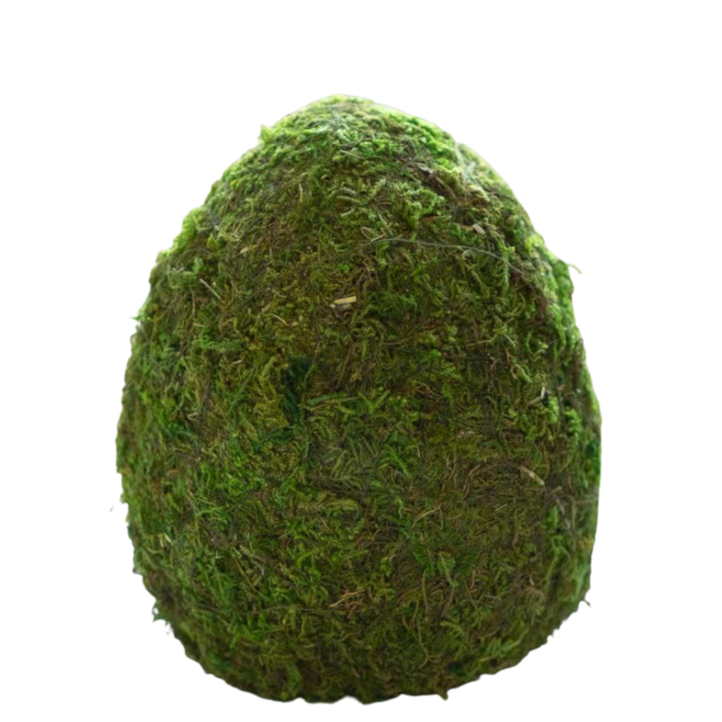 Moss Egg
