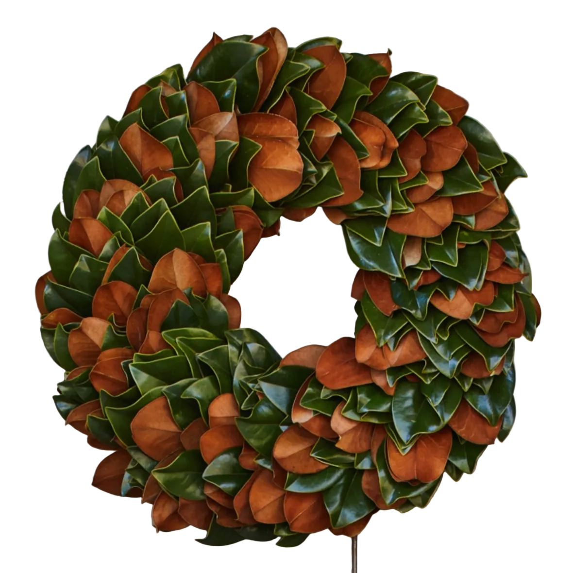 Fresh Magnolia Wreath