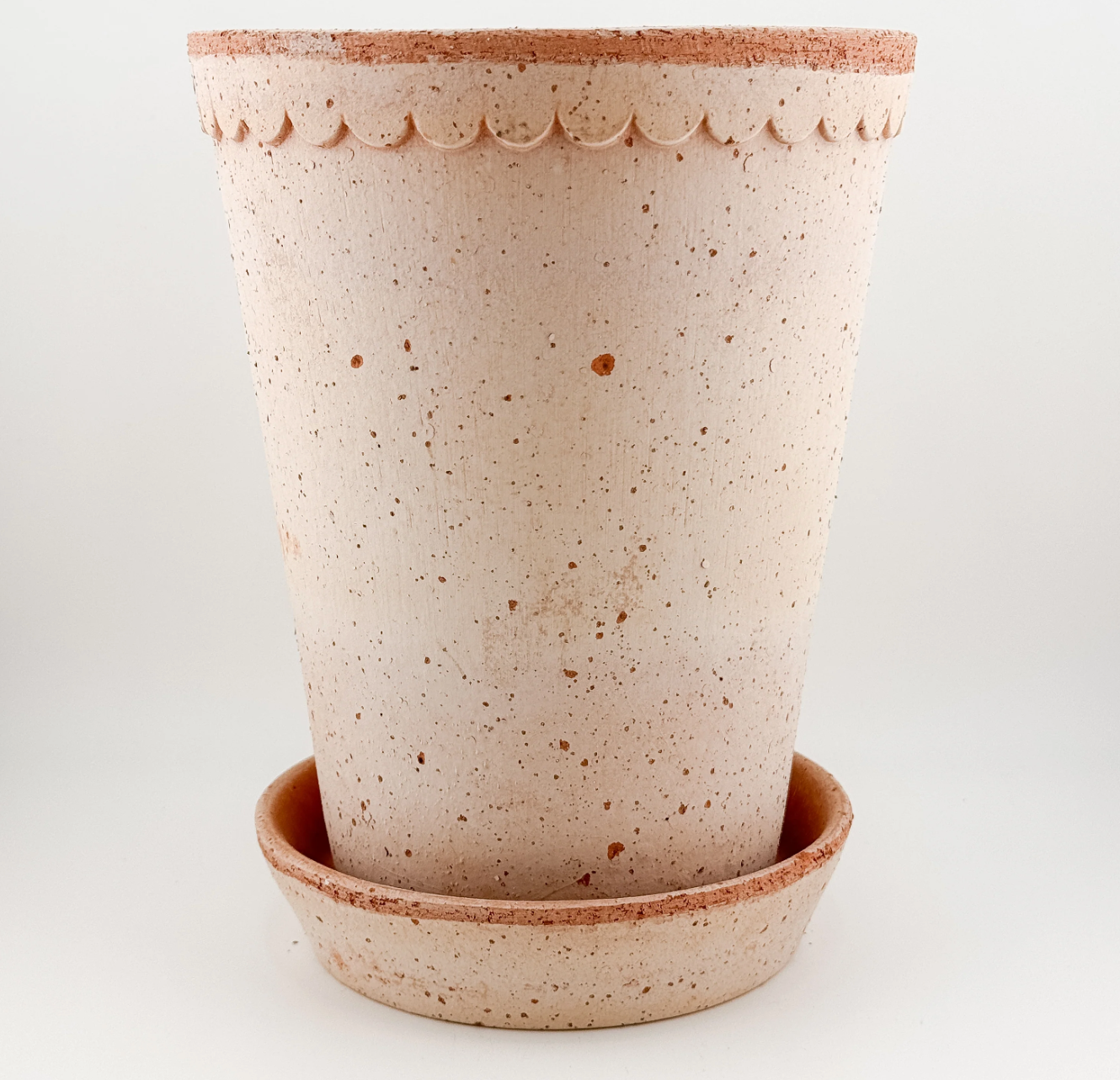 Rose Pink Amaryllis in Berg's pot & saucer