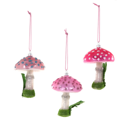 Magical Mushroom