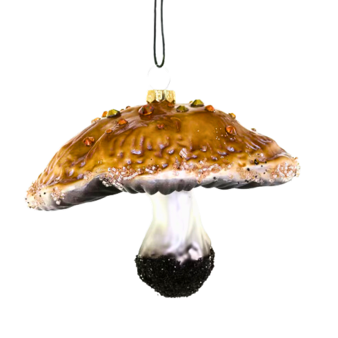 Foraged Mushroom