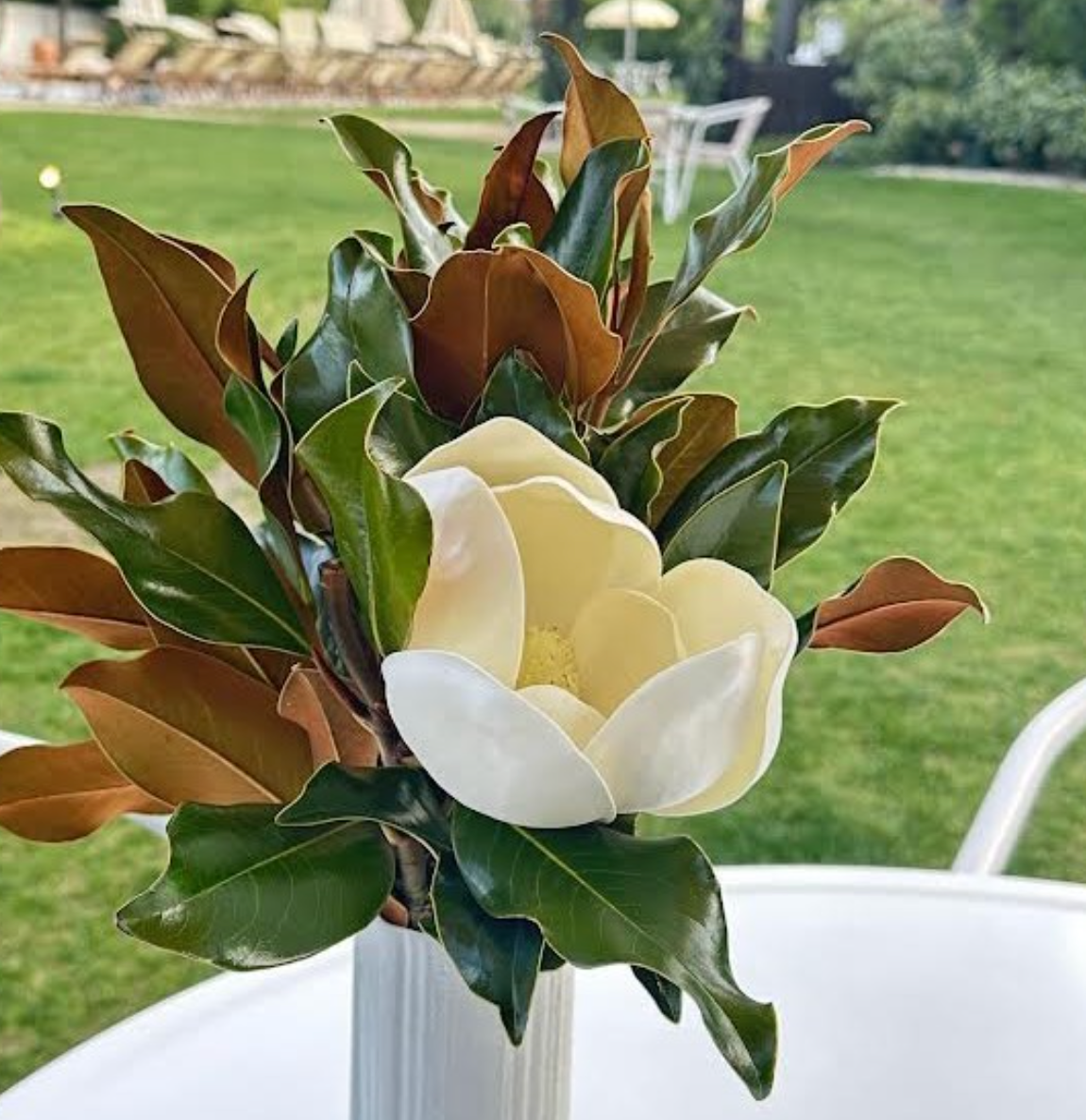Weston Farms Faux Magnolia Flower