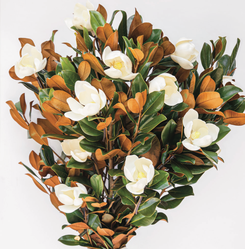 Weston Farms Faux Magnolia Flower