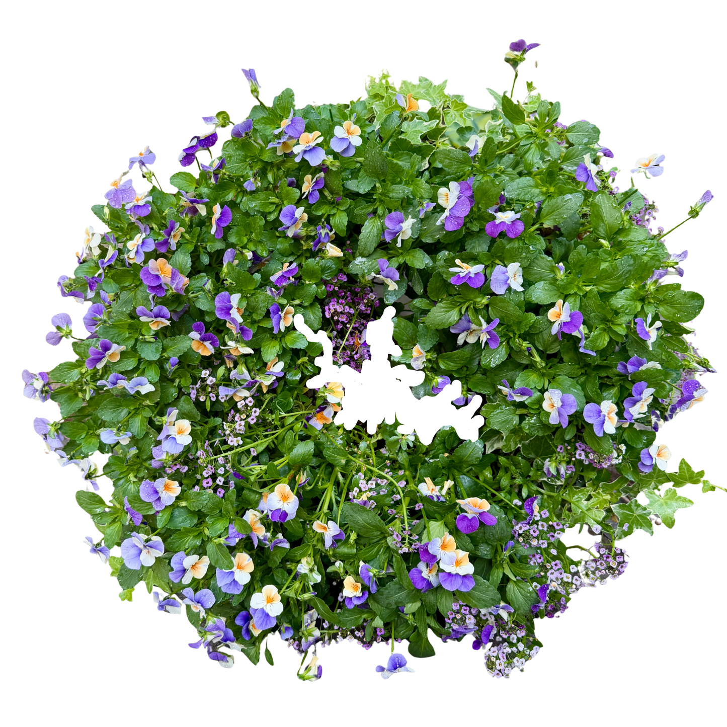Small Living Wreath