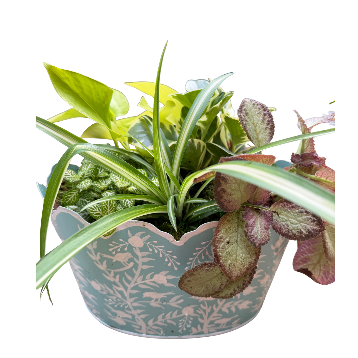 Foliage in Aqua Mrs. Alice Tole Planter