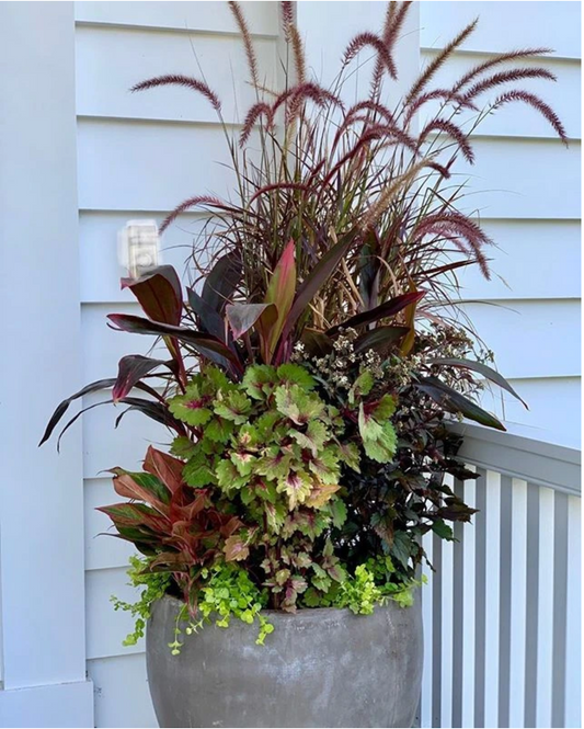 Recent Container Designs 26