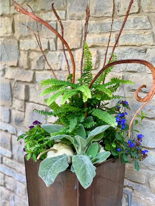 Recent Container Designs 23
