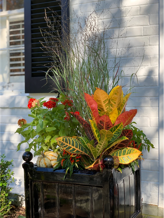 Recent Container Designs 5