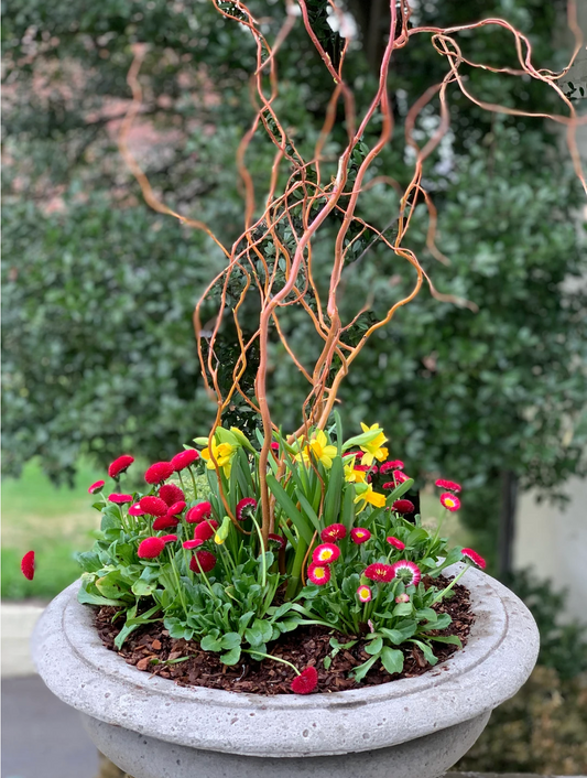 Recent Container Designs 21