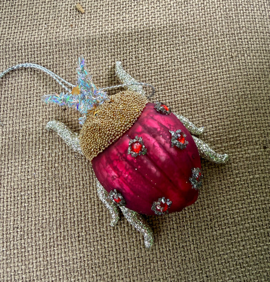 Jeweled Beetle