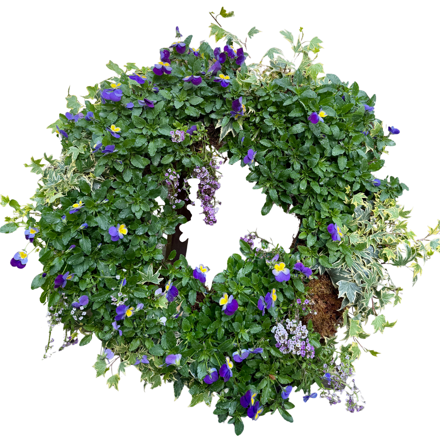 Large Living Wreath