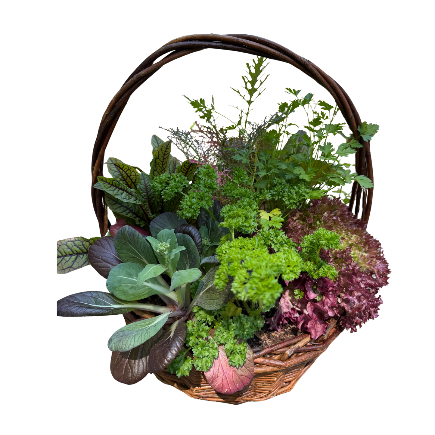 Large Willow Herb basket