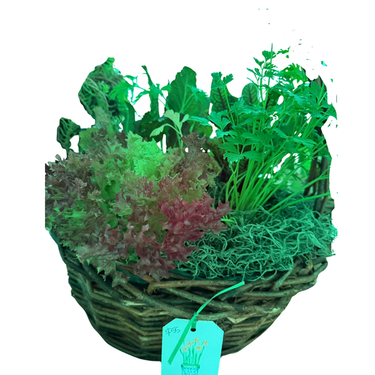 Medium Willow Herb basket