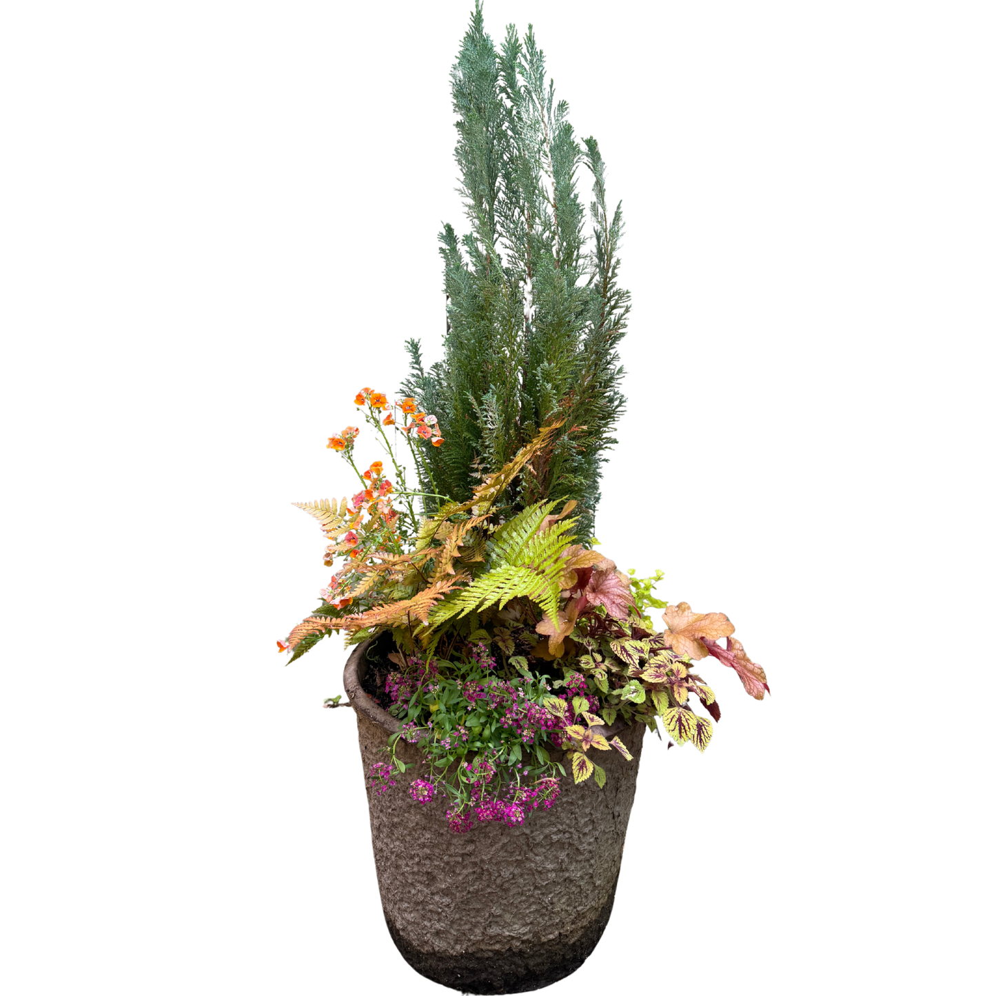 Evergreen Perennial Pulp Pot