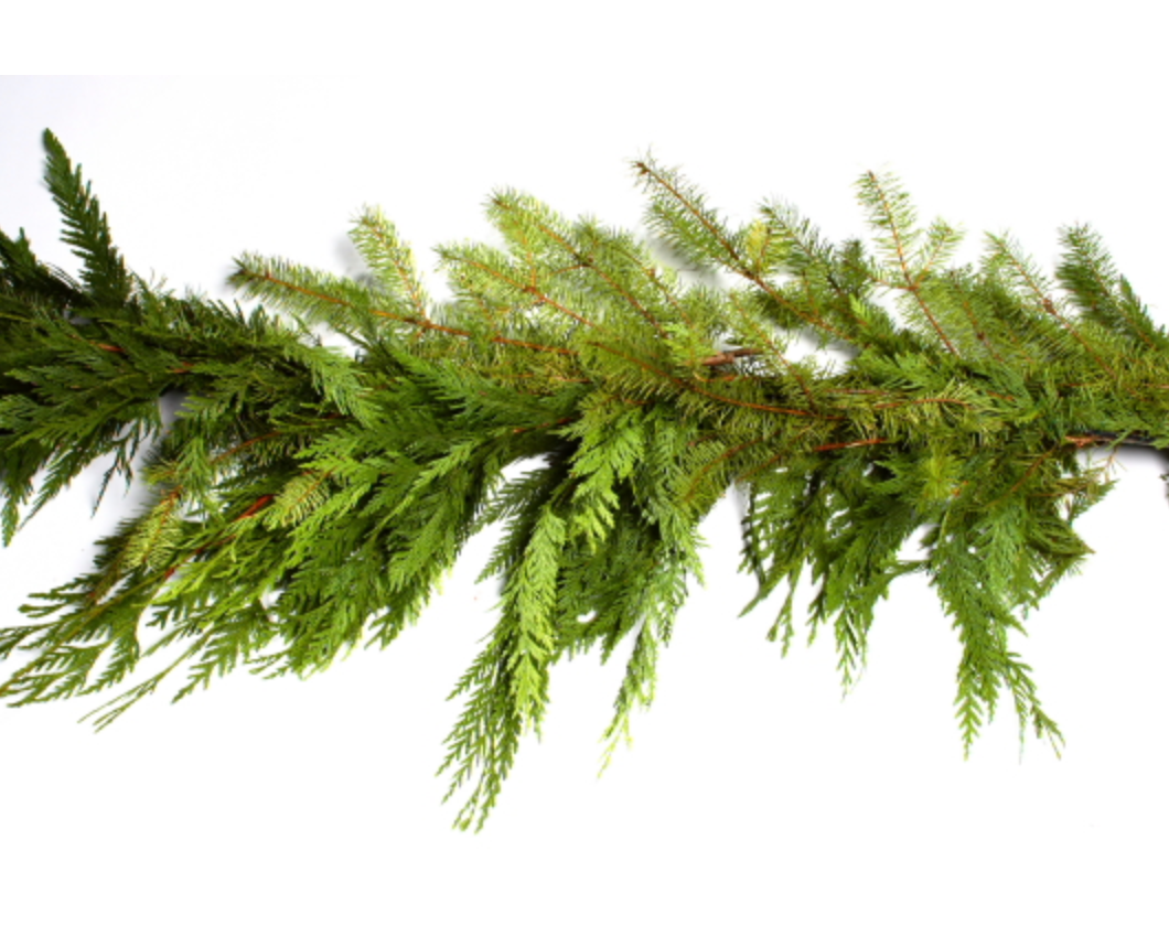 Cedar Douglas Fir Garland 75'