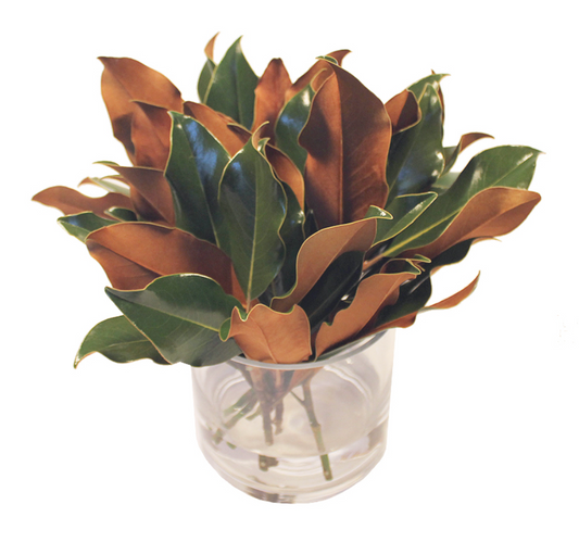 Weston Farms 12" Magnolia Bouquet