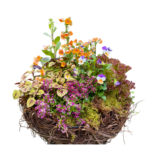 Nest planter