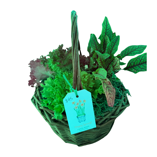Small Willow Herb basket